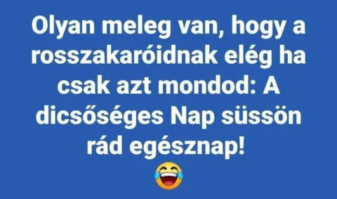 #VK1751379782