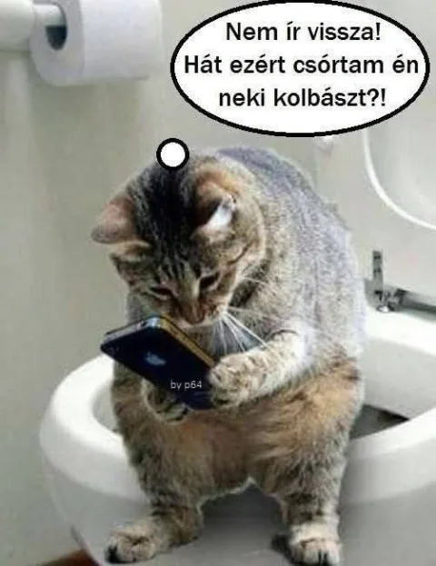 #VK1751392800