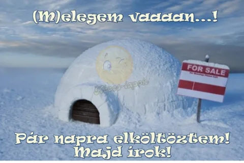 #VK1751398666