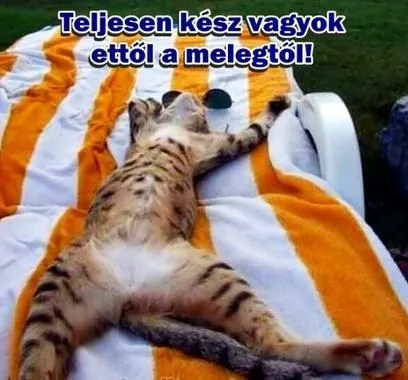 #VK1751455226