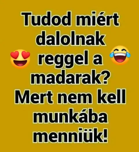 #VK1751522445