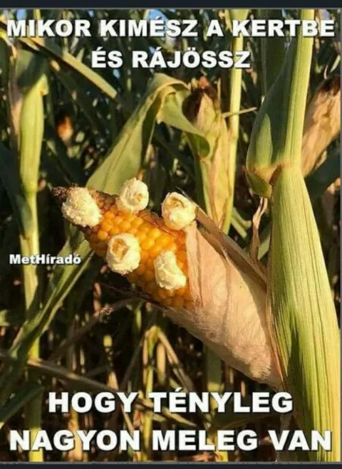 #VK1751529604