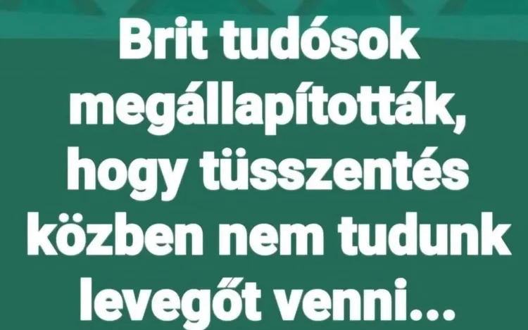 Brit tudósok megállapították, hogy tüsszentés közben nem tudunk levegőt venni... Brit tudósok megállapították, hogy tüsszentés közben nem tudunk levegőt venni...