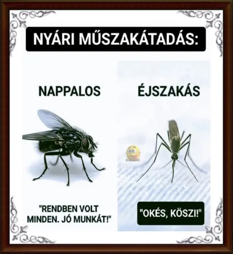 #VK1751571003