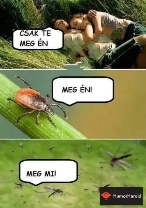 #VK1751657405