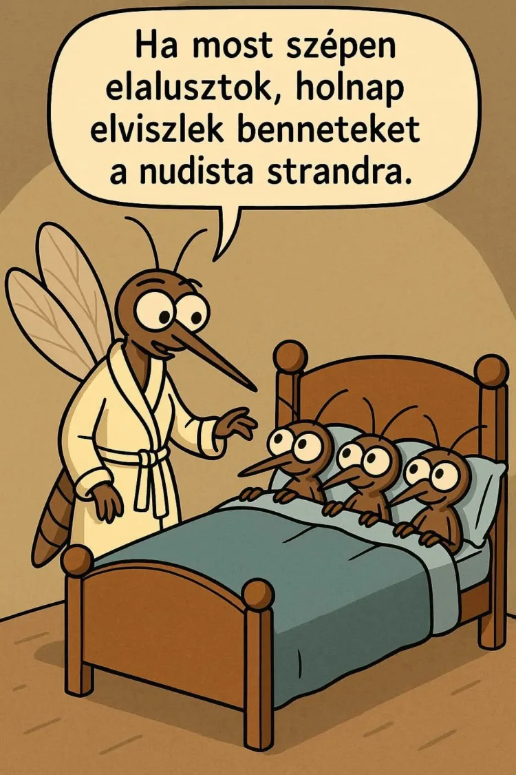#VK1751660312 #VK1751660312