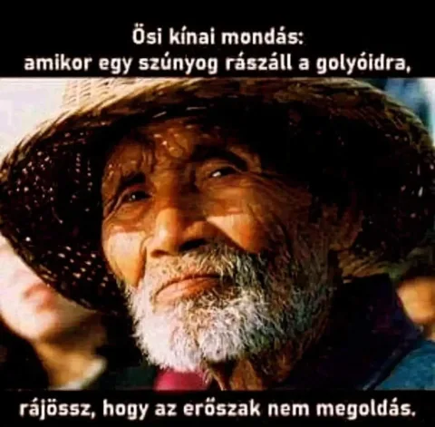 #VK1751715006