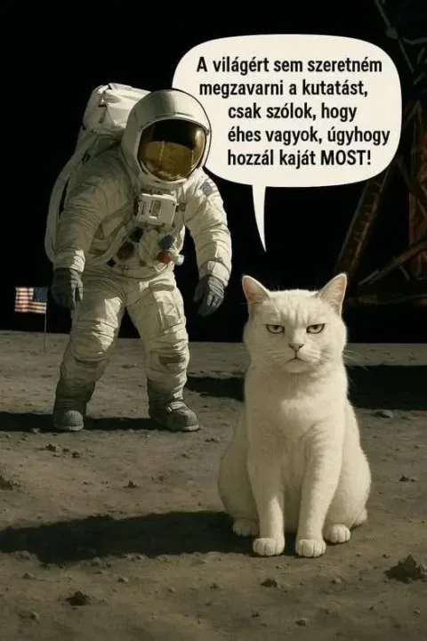 #VK1751746434