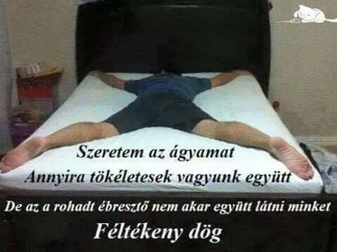 #VK1751876730