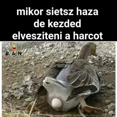 #VK1751883088