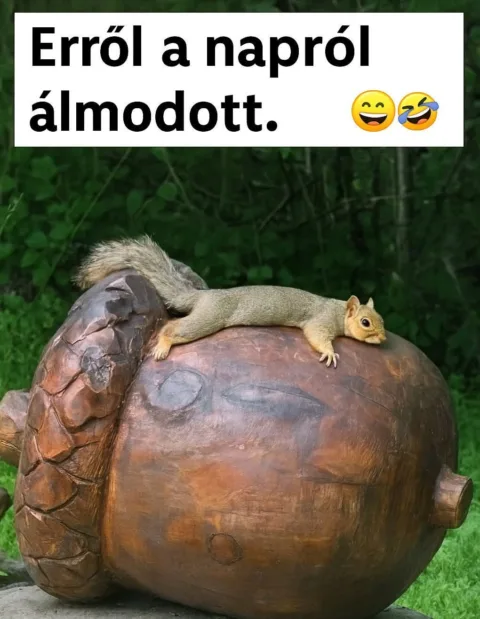 #VK1752057134