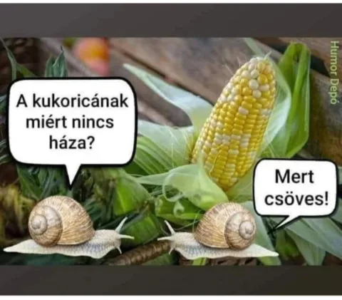 #VK1752134411