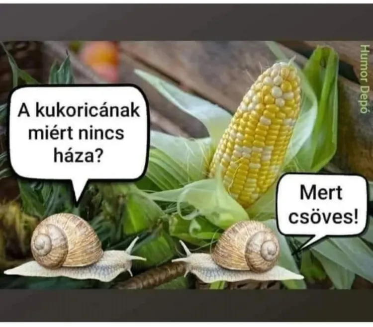#VK1752134411 #VK1752134411