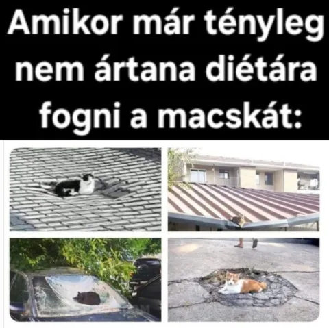 #VK1752139370