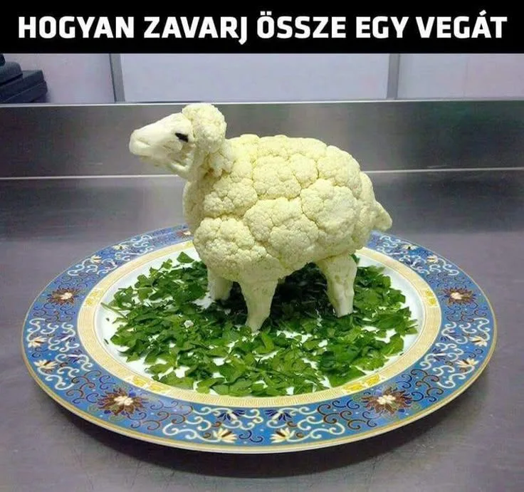 Hogyan zavarj össze egy vegát? Hogyan zavarj össze egy vegát?