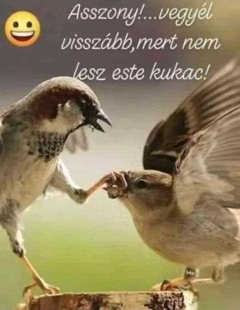 #VK1752339648