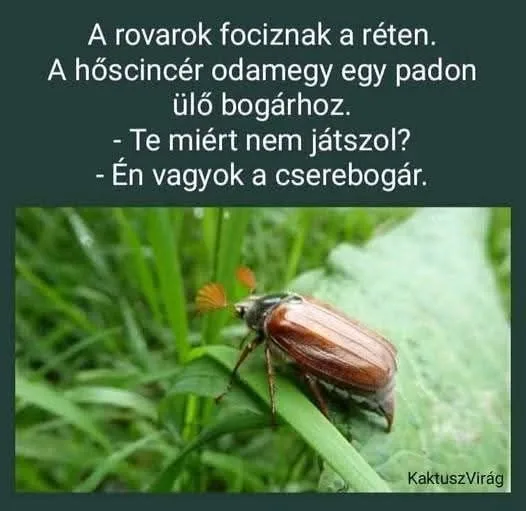 #VK1752386426 #VK1752386426