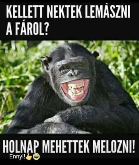 #VK1752426043