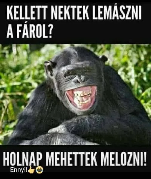 #VK1752426043 #VK1752426043