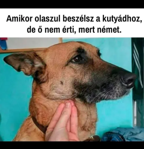 #VK1752511973