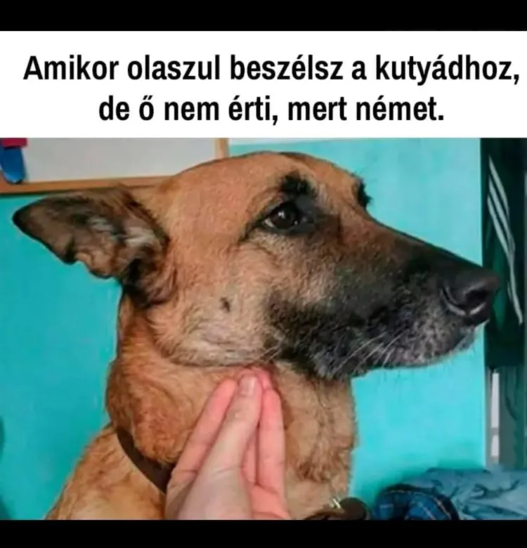 #VK1752511973 #VK1752511973