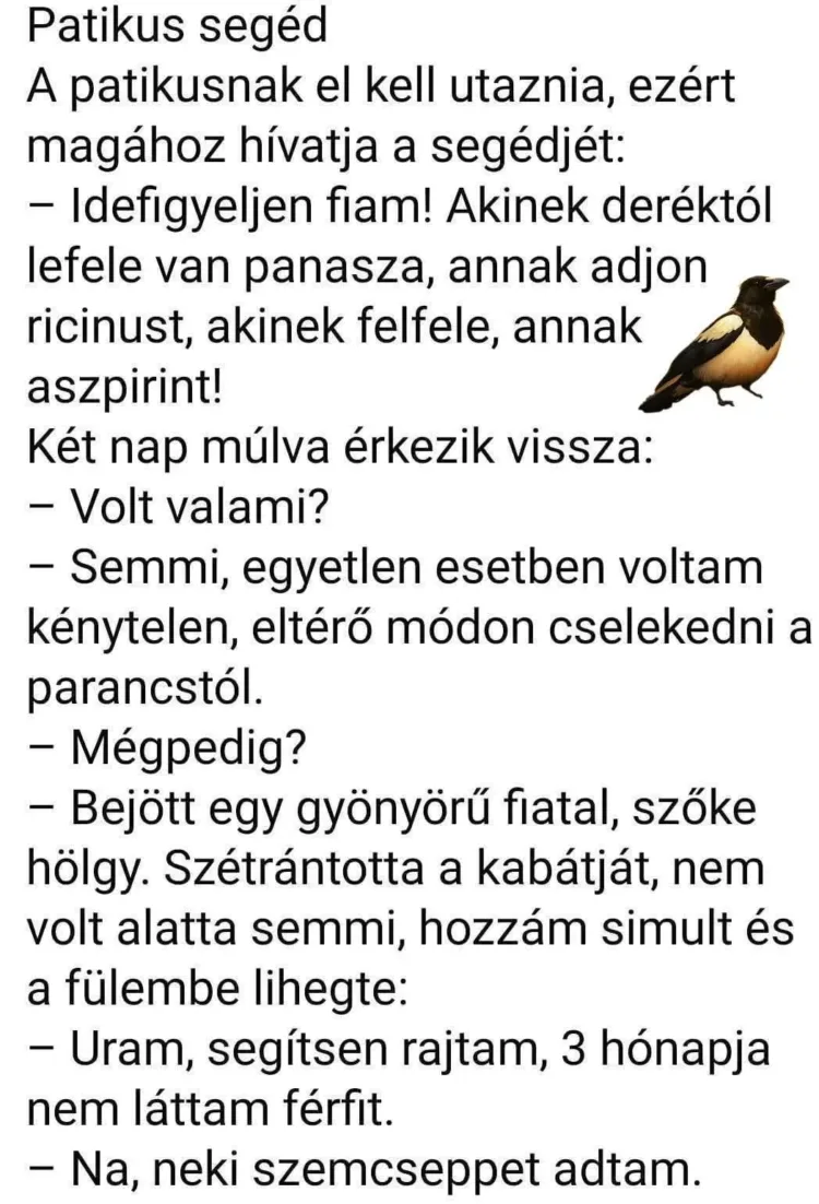 A patikusnak el kell utaznia, ezért magához hívja a segédjét: A patikusnak el kell utaznia, ezért magához hívja a segédjét: