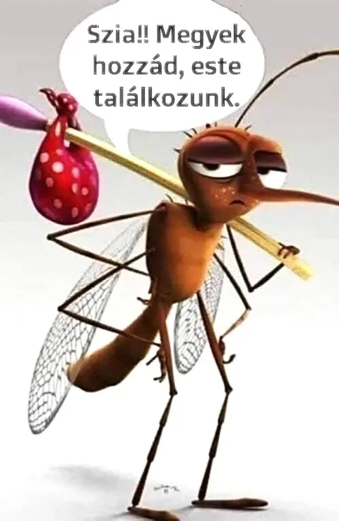 Szia!! Megyek hozzád, este találkozunk.
