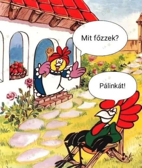 Mit főzzek?