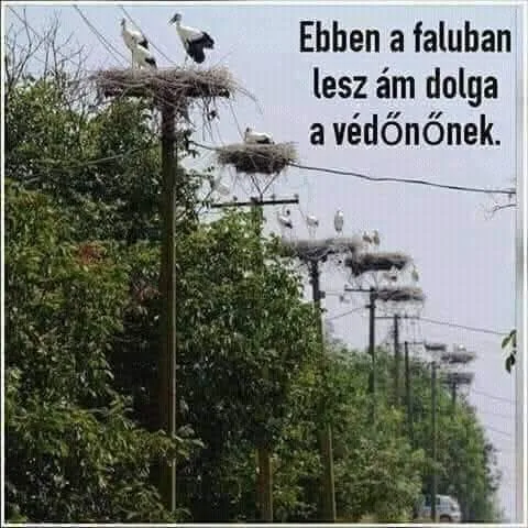 Ebben a faluban lesz ám dolga a védőnőnek.