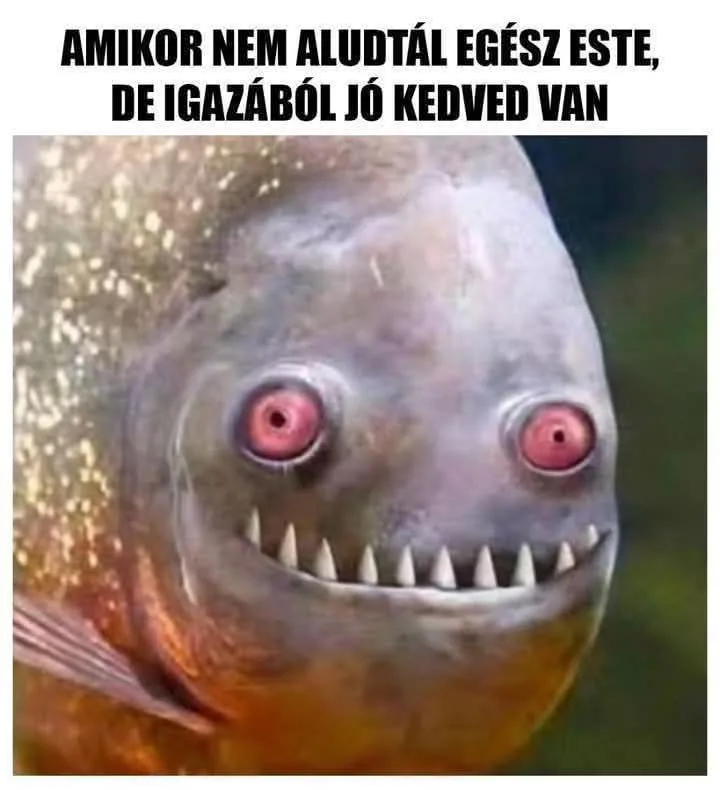 Amikor nem aludtál egész este, de igazából jó kedved van Amikor nem aludtál egész este, de igazából jó kedved van