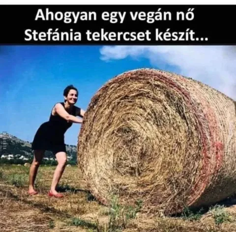 Ahogyan egy vegán nő Stefánia tekercset készít...