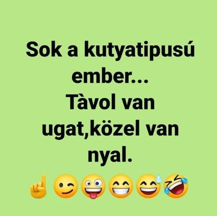#VK1753011005