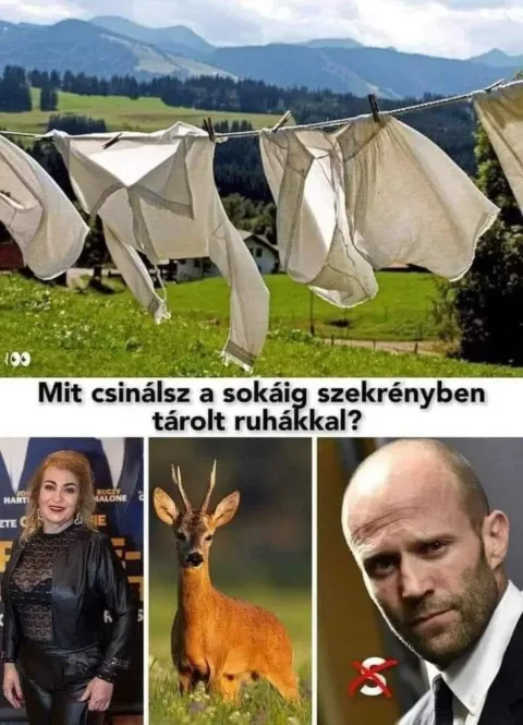 #VK1753174345