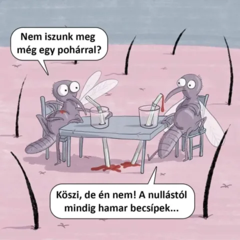 #VK1753193530