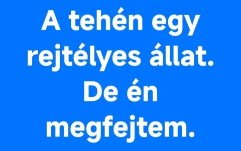 #VK1753462801