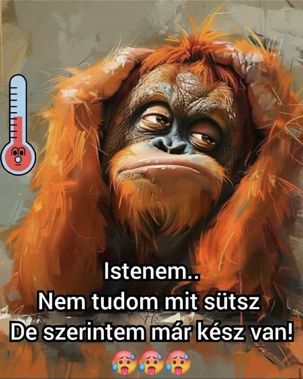 #VK1753517819 #VK1753517819