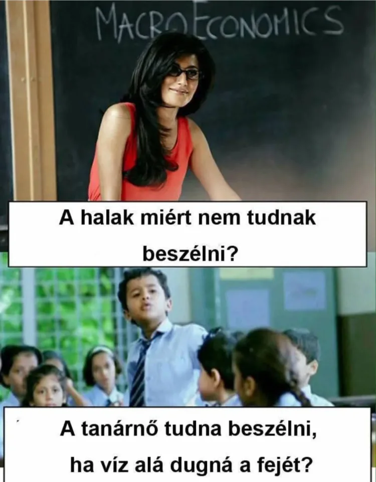 A halak miért nem tudnak beszélni? A halak miért nem tudnak beszélni?