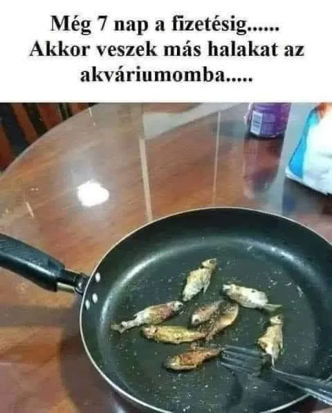 Még 7 nap a fizetésig...