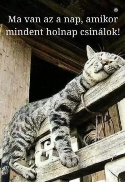 Ma van az a nap, amikor mindent holnap csinálok!