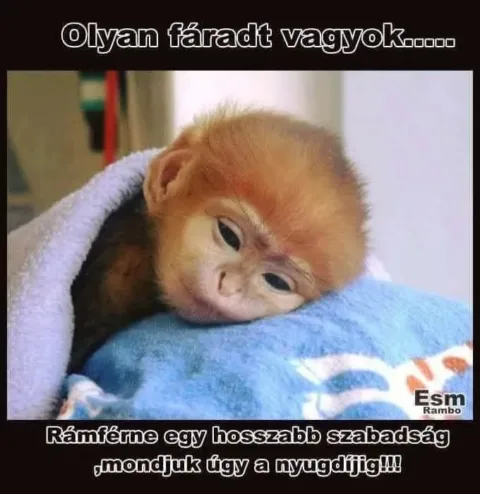 Olyan fáradt vagyok.....