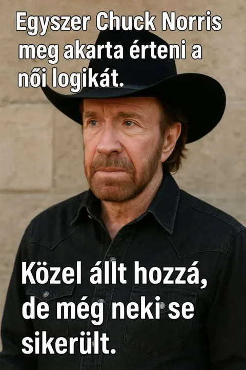 Egyszer Chuck Norris meg akarta érteni a női logikát...