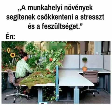 #VK1753787266