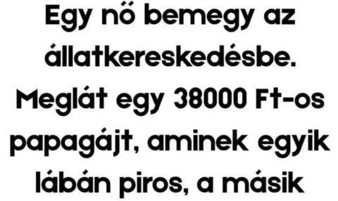 Vicc: A sokoldalú papagáj
