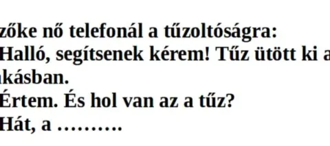 Vicc: A szöszi felhívja a tűzoltóságot –