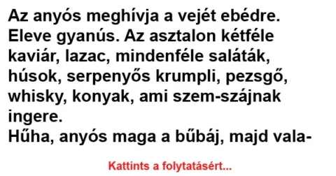Vicc: Az anyós meghívja a vejét ebédre