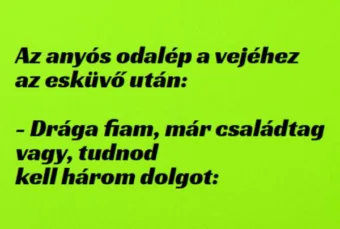 Vicc: Az anyós odalép a vejéhez az esküvő után: –