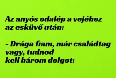 Vicc: Az anyós odalép a vejéhez az esküvő után: –