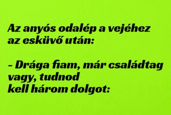 Vicc: Az anyós odalép a vejéhez az esküvő után: –