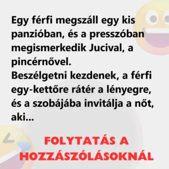 Vicc: Egy férfi megszáll egy kis panzióban, és a presszóban megismerkedik Jucival