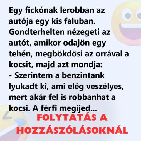 Vicc: Egy fickónak lerobban az autója egy kis faluban